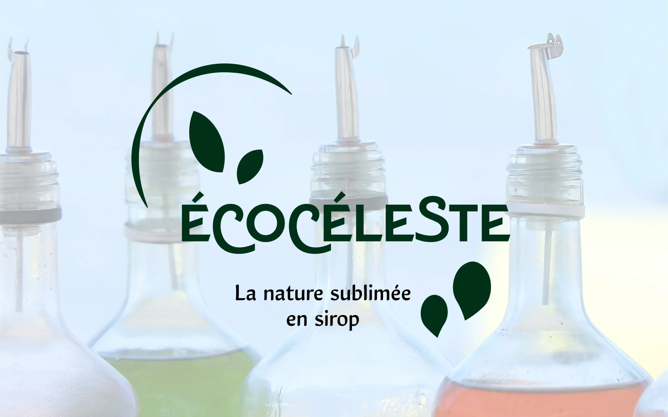 Un logo typographique qui s'appelle Écocéleste avec des feuilles et des goutes.