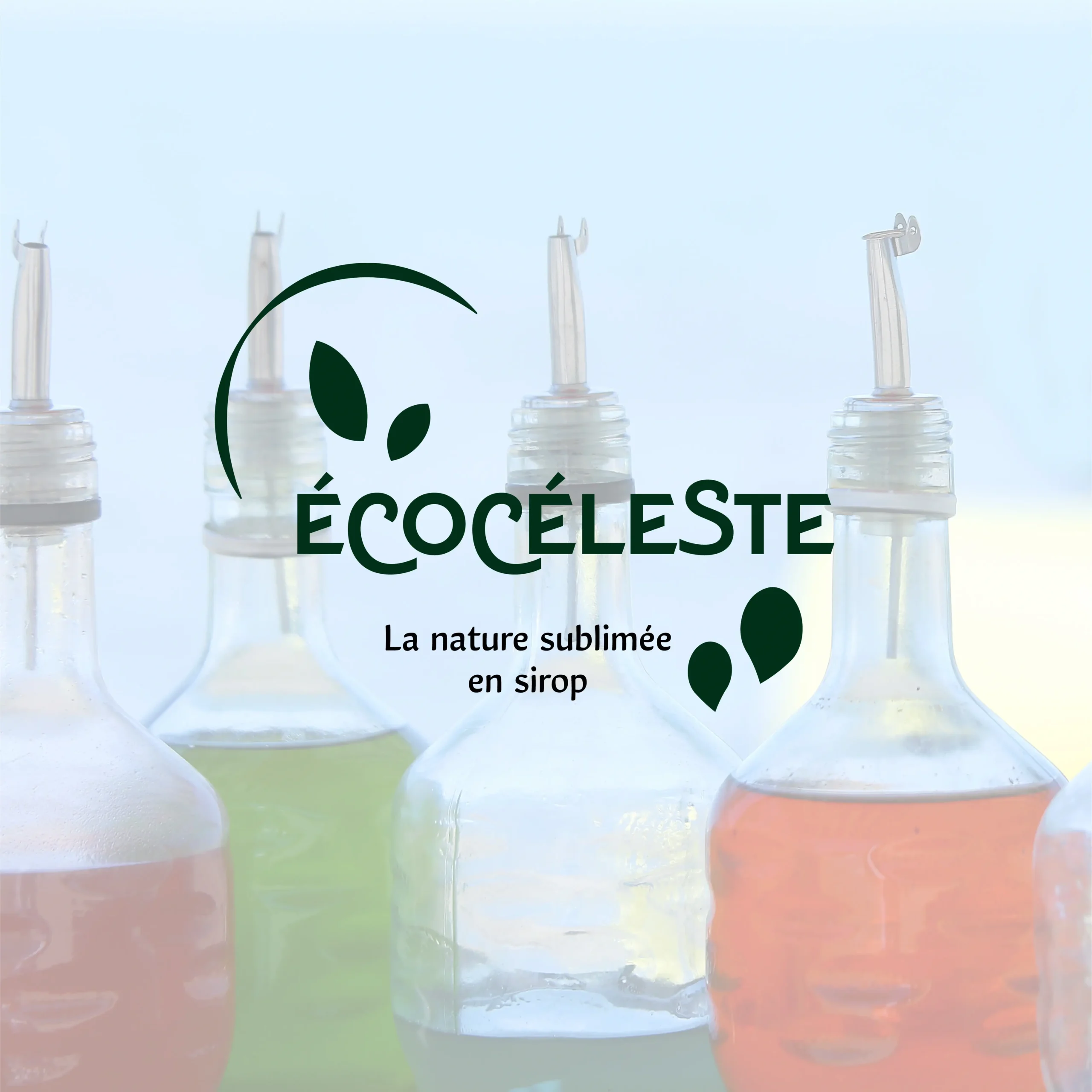 Logo Écocéleste pour présenter le portfolio