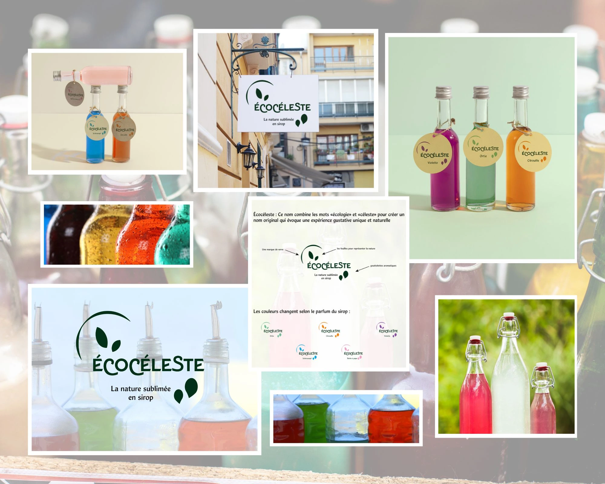 Un Moodboard représentant les différents produits écocéleste avec l'identité visuelle