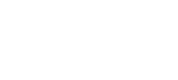 Logo Flopie Design